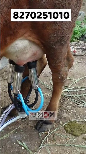 "Save Time & Labor with Maha Milking Machine ⏱️"