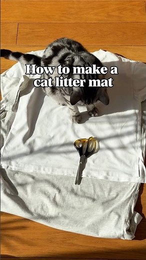 DIY Cat litter mat: zero cost and it fits perfectly in front of the AutoScooper 12 by ‪@PetPivot‬😻 ad