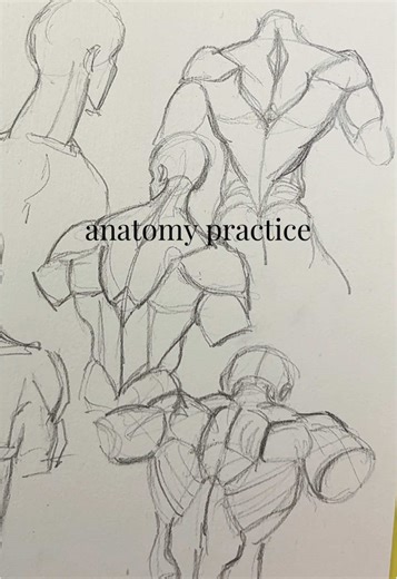 back muscles argh #drawingprocess #drawing #artprogress #pencildrawing #timelapseart
