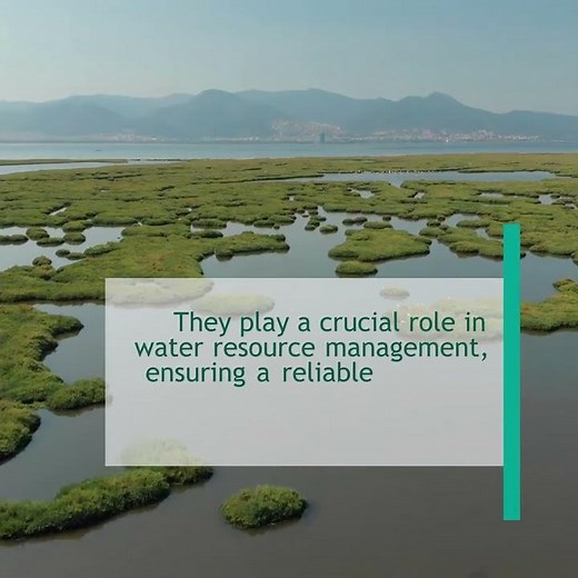 Wetlands: Building Sustainable Infrastructure in Harmony with Nature