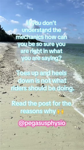 👉Using the right muscles at the right time is key to improving as a rider. But if you don’t understand how those muscles and joints actually work – especially in crucial areas like the foot and ankle – how can you be sure that what you’re teaching or trying to do is right? I’m on holiday this week (you may have guessed from the beach photos and videos 😂), so instead of creating new content, I’ve been reflecting on some recent comments. What really stands out is how confidently certain phrases 