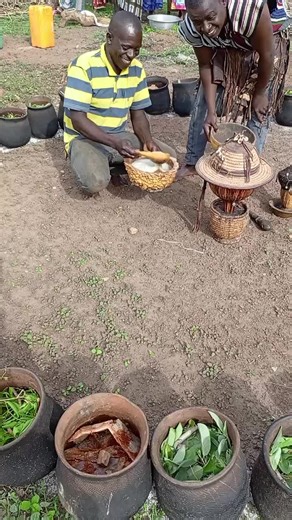 Vidéos de Aliou OROU (@aliou.orou) avec son original - Aliou OROU