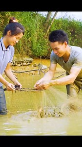 Harvesting Pink Perch Goes to the market sell #fruit #harvest #garden | Yang Bushcraft