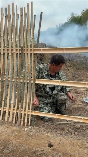 Bamboo fence for the Vegetable Garden, a model of protection and environmental friendliness!