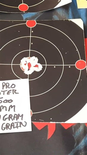 Pellet Test Gamo Pro Hunter vs H+N Excite Hammer in 177 #weihrauch HW100 #2025 #airrifleshooting