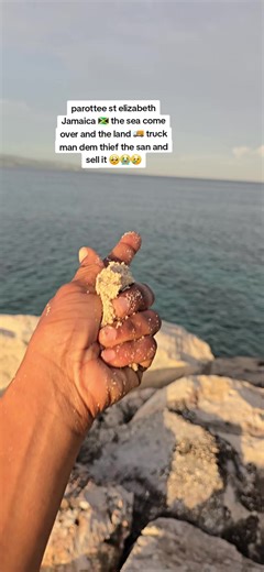 #goviral #foryou #fyp #followers #likee | st elizabeth jamaica
