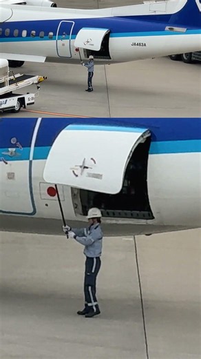カーゴドアを開けてつっぱり棒でロック！ANA WINGS Bombardier DHC-8-402Q Dash 8 大阪国際（伊丹）空港 #shorts