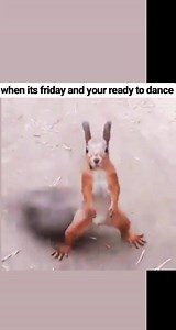 338K views · 446 reactions | Mr Awkward question/situation. on Reels | Facebook