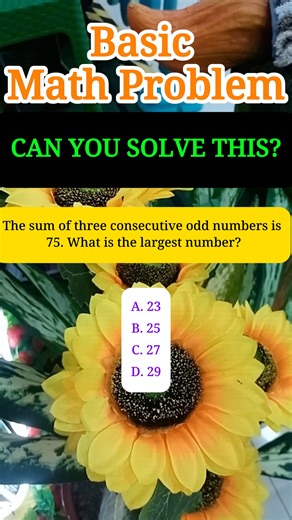 8 comments | The sum of three consecutive odd numbers is 75. What is the largest number? A. 23 B. 25 C. 27 D. 29 #fblifestyle #mathskills #mathematics #math | MathTalks | Facebook