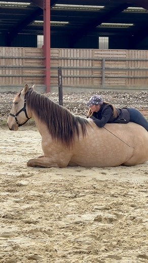 Dans cette vidéo, chaque exercice a un objectif précis : • Le changement de pieds en liberté (et ici pour sa première fois): il montre son attention, son équilibre et sa capacité à répondre à mon langage corporel sans contrainte. • Le pas espagnol : il développe sa souplesse et sa coordination dans le mouvement. • Le reculer alors que je suis loin derrière lui : c’est de la connexion pure, de la compréhension fine du geste, un respect mutuel qui ne dépend pas de la pression, mais de la confiance
