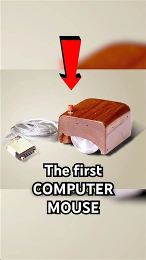 The first computer mouse was a block of wood #crazyfacts #facts #technology #nature #wildlife #tech