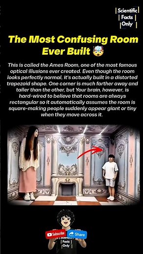 Why Your Brain Can't Solve This, The Famous Ames Room Illusion Explained 🤯