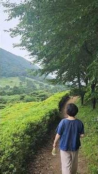 (2026년 7월)고장난 뻐꾸기 소리? 정체? 숲속에서 뻐꾸기와 교감하다 # 숲속힐링# 편백나무숲 산책