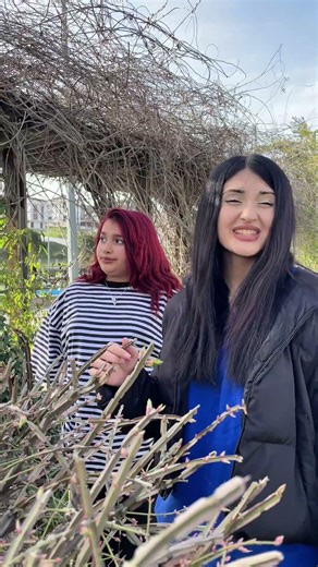 Dallara kim zarar verdi #short #shorts #shortvideo #viral #fyp #ytshorts #youtubeshorts #global