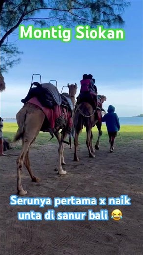 Naik Unta di Pantai Sanur Bali 🐪 - Camel Ride Bali II Hidden Gem Sanur