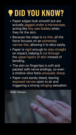 Why paper cuts hurt so much 📄🩸 | Everyday Science Explained