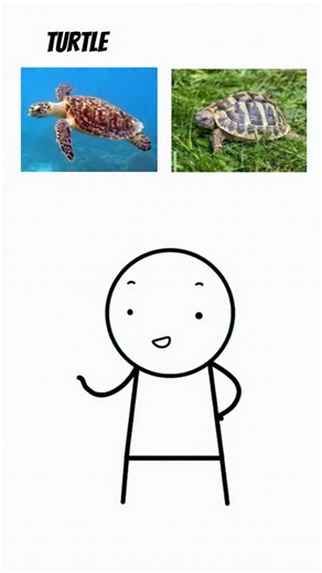 What is the difference between these english terms? Learn these english terms easily. Follow for more content like this if you enjoy learning English. #englishvocabulary #englishlearning #englishtips #englishvocabulary #learnenglish | 60 Sec English