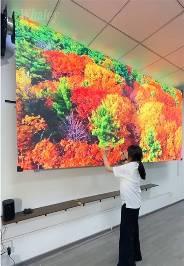 LED Ultra-Clear Roll-Up Display Screen, with Outstanding Visual Effects.#whaley #ledscreen #leddisplay #led #fpy