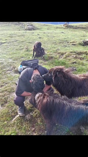 YOlO on Instagram: ""Maybe she's not the one so delete and empty recycle bin🤝.""