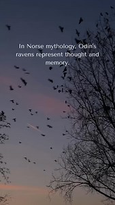 5.1K reactions · 828 shares | Did you know this about Odin’s Ravens? ‍⬛ Order Odin’s Ravens Necklace at  vikinglifestyles.com #odinsravens #norsemythology #vikings #viking #huginnandmuninn #odin #vikingage #vikinghistory #vikingculture #norseculture #norsepagan #raventattoo #vikingtattoo #vikinglifestyles #vikingjewelry #norsejewelry | Viking Lifestyles | Facebook