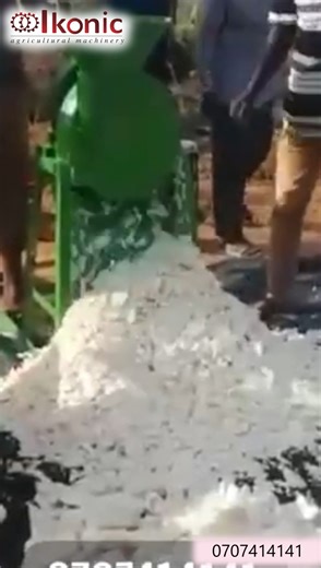 1.4K views | Here’s why it’s a game-changer for cassava farmers: Precision Chipping: The Ikonic Cassava Chipper ensures uniform and precise chipping of cassava tubers. Time-Saving: With its efficient design, you’ll breeze through cassava preparation. No more manual labor—let the chipper do the work. Versatility: Beyond cassava, this machine can also handle other root crops like sweet potatoes and yams. For enquiries call 0707414141 | Ikonic Agricultural Machines | Facebook