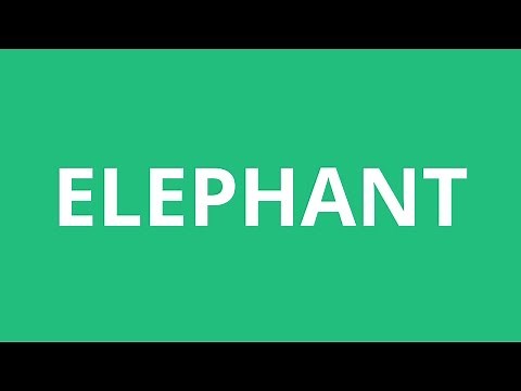 How To Pronounce Elephant - Pronunciation Academy