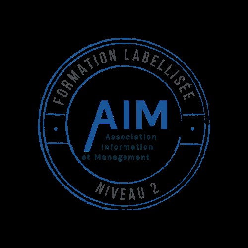 Master Management des systèmes d'information