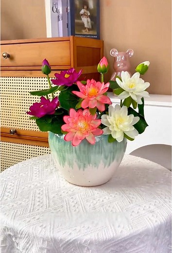 You will love this #TiktokShopCreatorPicks #tiktokshop | lotus flower seeds