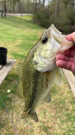 Fight for the pipe 😤 #cooking #fishing #outdoors #recipes #food | #cooking