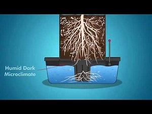 Octopot Soil Hydro Hybrid Grow Systems - Better than DWC Systems or Ebb and Flow Growing Systems