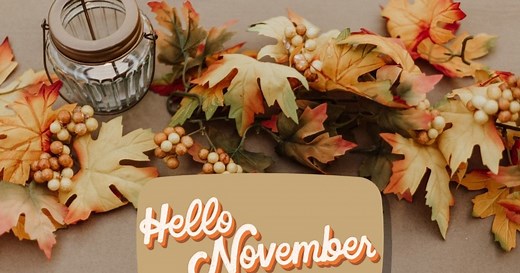 National Cook for Your Pets Day? November Holidays and Observances for 2025, With Some You Wouldn’t Expect