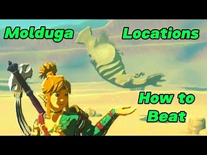 Totk Molduga Locations and How To Beat