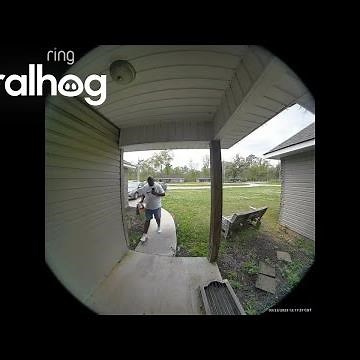 Dog Gets Loose and Chases Delivery Man || ViralHog