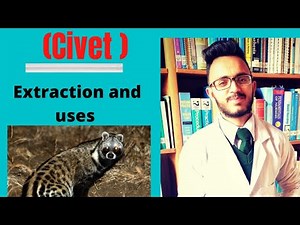 Civet / Extraction and uses / (Animal origin drug)