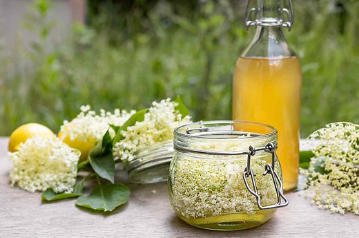 Qué son los cordiales y cómo prepararlos en casa para tus cocteles