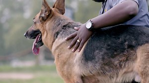 17K views · 369 reactions | Keep the tissues nearby for this story...