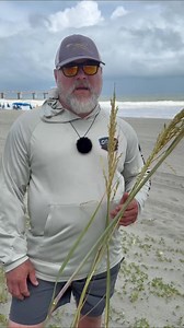 21K views · 591 reactions | Discover how birds and plants predict the weather! We delve into nature's secrets, from sea oats to seagull behavior, revealing the hidden signs of wind patterns. Explore nature's early warning system with us! #WeatherForecasting #NatureHacks #BirdWatching #PlantScience #WindPatterns #SeaOats #Seagulls #NatureSecrets #Wildlife #EnvironmentalAwareness | Nature Reliance School | Facebook