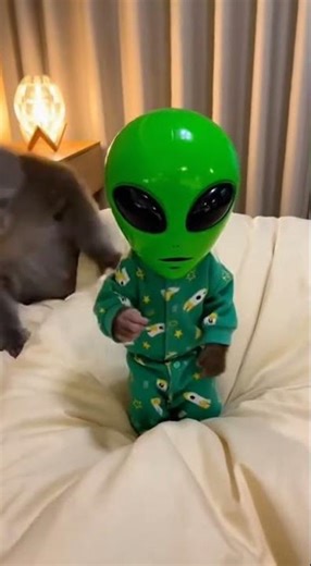 Baby Monkey Wears an Alien Mask to Wake Up Everyone Laughing #funny #monkey #alien