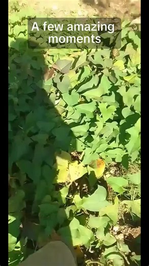 Sneak peek alert! A few moments from my LIVE. Tune in LIVE for the full experience.