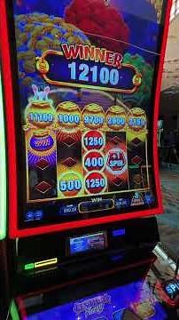 We TRIGGERED the FRENZY JACKPOT Again.... #casino #gambling #slot