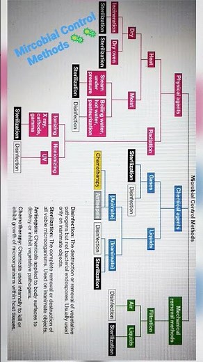 Microbial Control Methods 🦠🦠