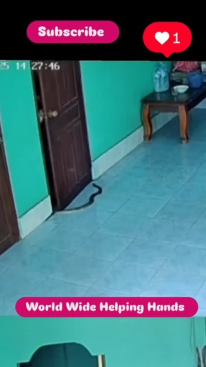 Dilip Kumar on Reels