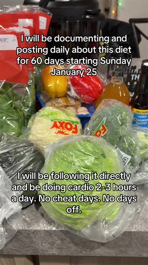 The Beyoncé Coachella diet for 60 days. I am scared and excited to start this process and want to see how far I can push myself. I know that I’m not Beyoncé but at the end of the day if she can do it why can’t I? #beyonce #beyhive #fitness