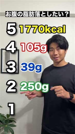 【徹底解説】お腹の脂肪を落とすための黄金比率を公開！