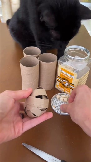 Najlepsza zabawka dla kota, za 0zł. KOT ją POKOCHA! #kot #koty #behawiorysta