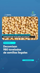 Es el resultado de los diferentes operativos realizados por el INIAF a lo largo de la gestión 2023. El producto será destruido en cumplimiento a la normativa vigente. #Canalrural #Economía #Bolivia #SantaCruz | Canal Rural Bolivia