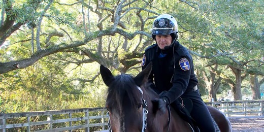 Police share a look inside the Charleston Mounted Horse Patrol Unit