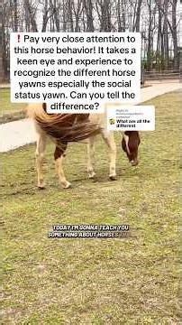 ❗️Pay very close attention to this horse behavior! It takes a keen eye and experience to recognize.
