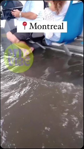 New STM Bus Addition in Montreal: What Do You Think?