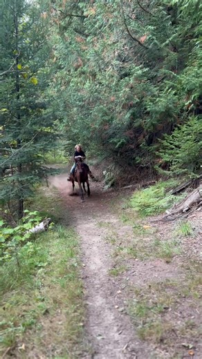 4.5K views · 77 reactions | “Oh, riding horses isn’t a real sport?”...